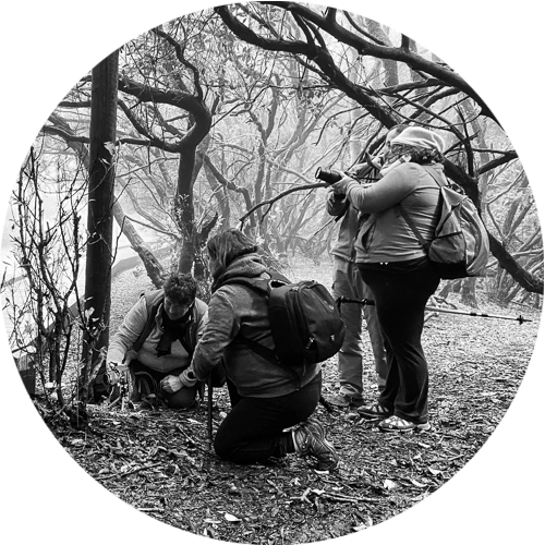quedada-fotografica-en-anaga-naturajazz