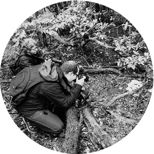 quedada-fotografica-en-teno-naturajazz