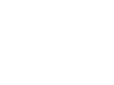 VII Festival